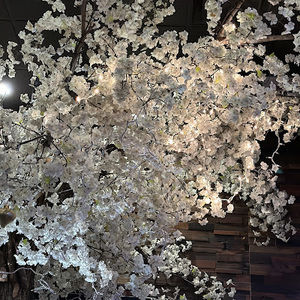 Meet your Posher, Yoonjung